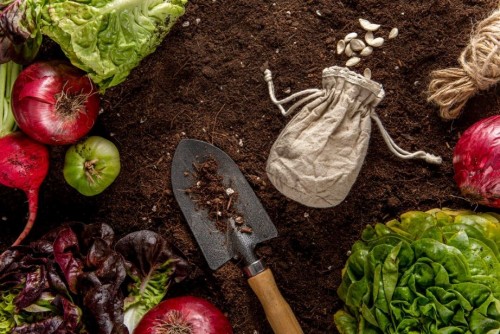 Atelier : &Eacute;change sur la permaculture