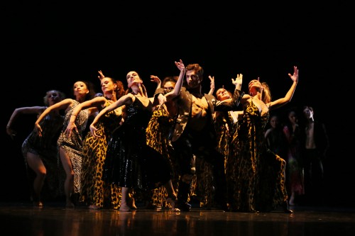 SAISON CULTURELLE | Carmen