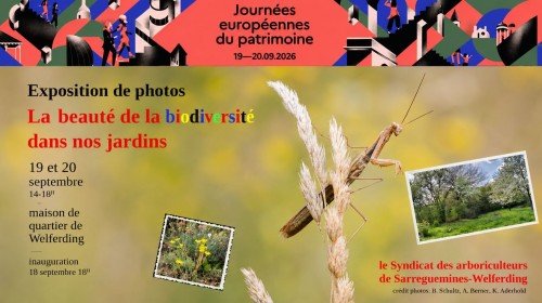 JEP | Exposition de photos "La beaut&eacute; de la biodiversit&eacute; dans nos jardins"