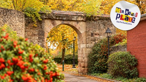 Visite du c&oelig;ur historique de Sarreguemines en Platt