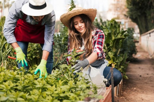 Échange sur la permaculture