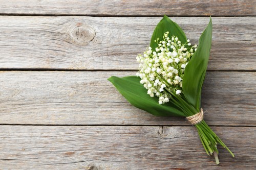 Réglementation de la vente du muguet sur la voie publique le 1er mai