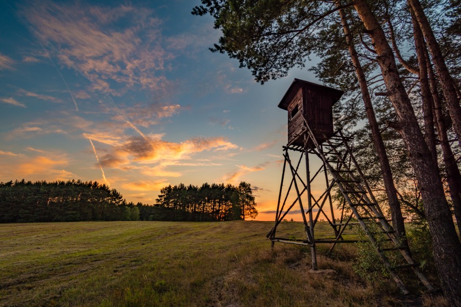 Battue de chasse - Dimanche 11 octobre