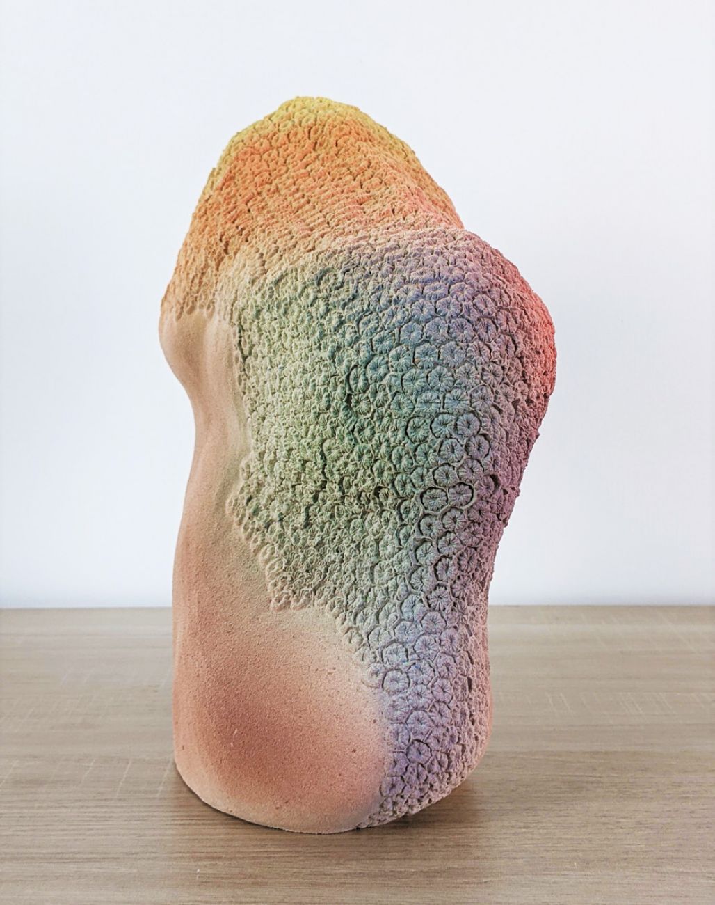 Corail, Aline Schmitt