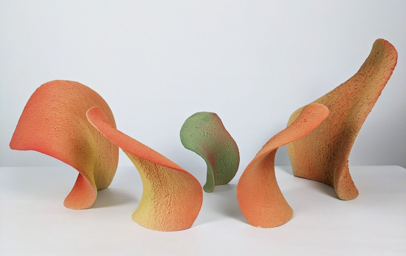 Sénescence, Aline Schmitt