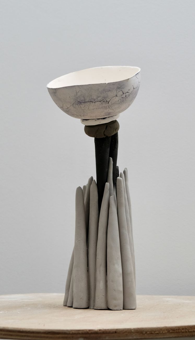 N°4, Sophie Davin