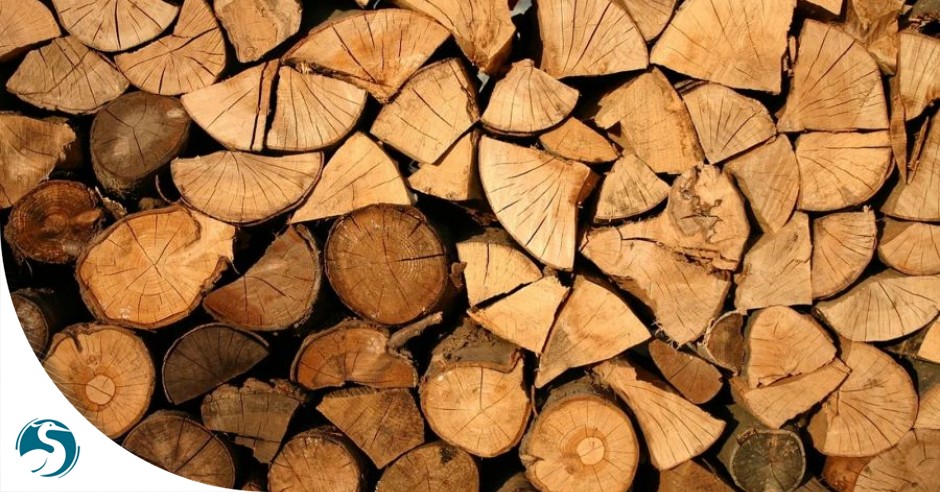 Vente de bois de chauffage  19 novembre 2020  ANNULÉE  Sarreguemines.fr